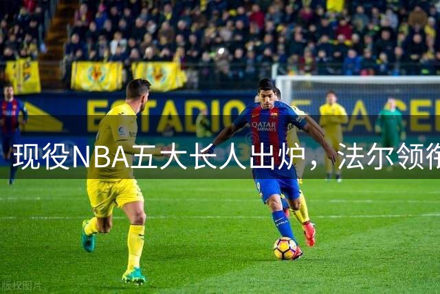 现役NBA五大长人出炉，法尔领衔榜单